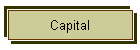 Capital