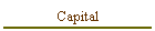 Capital
