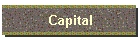 Capital